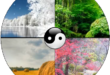 am-duong-voi-cac-the-hien-1