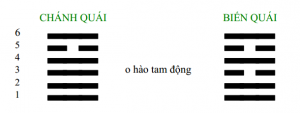 hoa-thien-dai-huu-bien-que-hoa-trach-khue